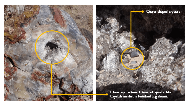 Petrified log with quartz crystals
