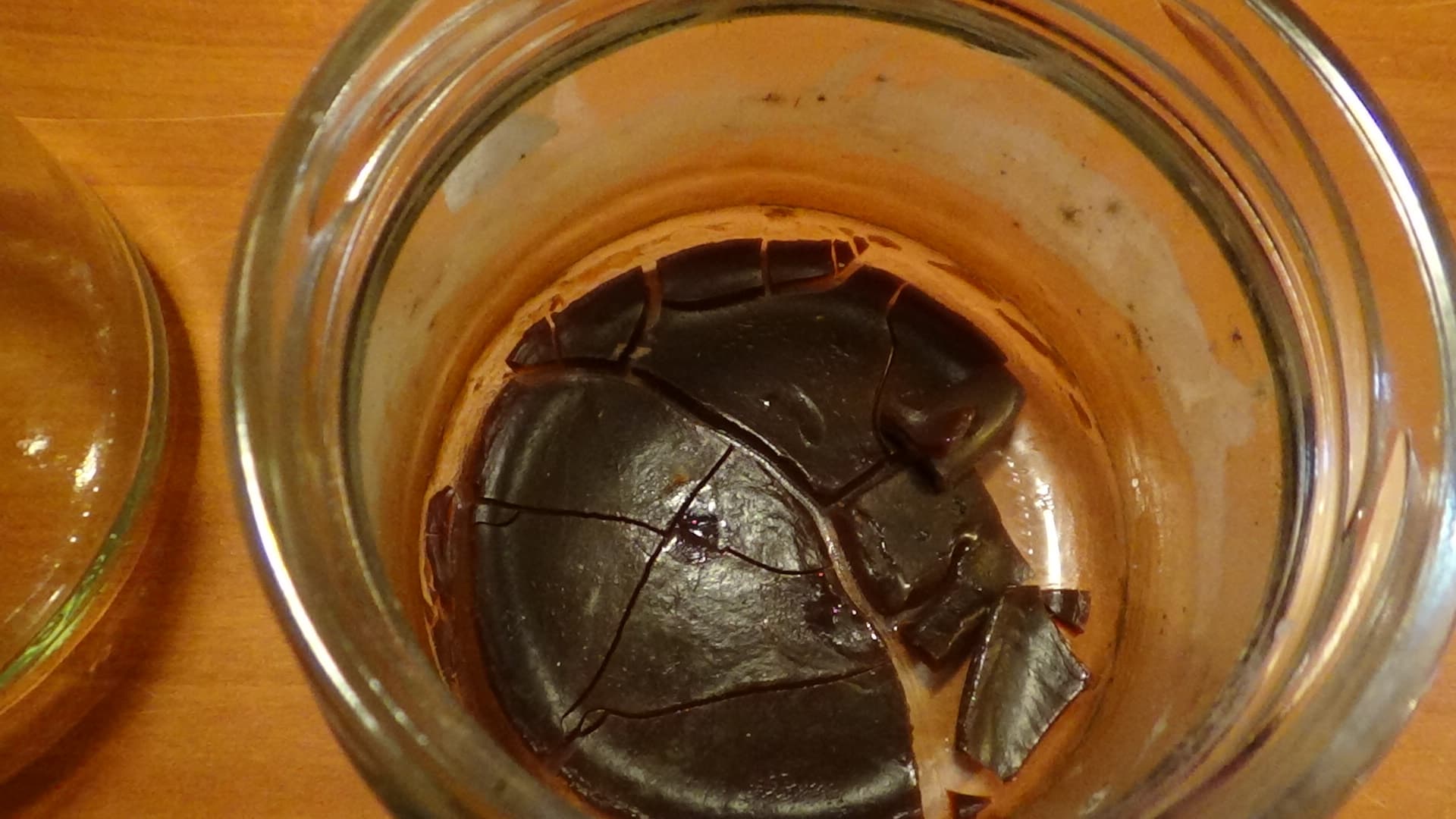 Candy White dried product